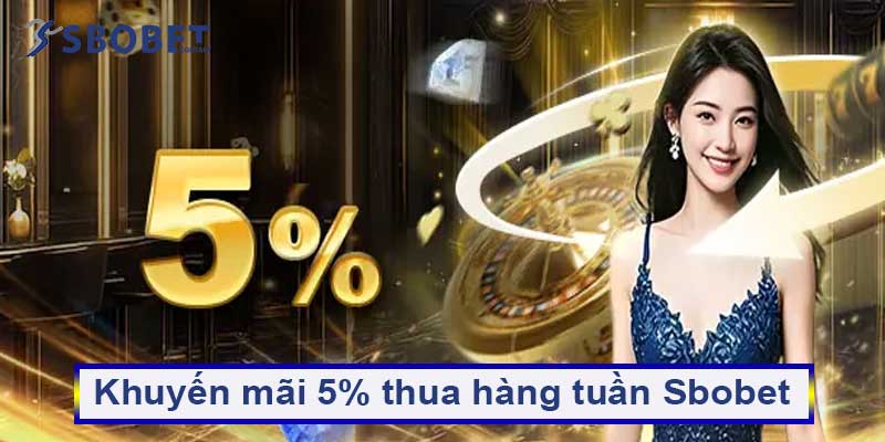 Hoàn trả 5% thua hàng tuần Sbobet – Dù thua vẫn nhận tiền 11 Khuyến mãi 5% thua hàng tuần Sbobet